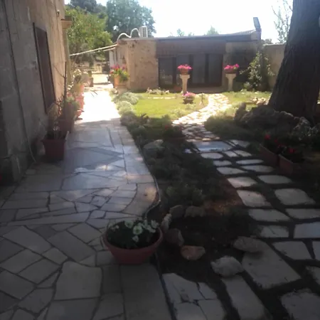 Immacolata * Sava